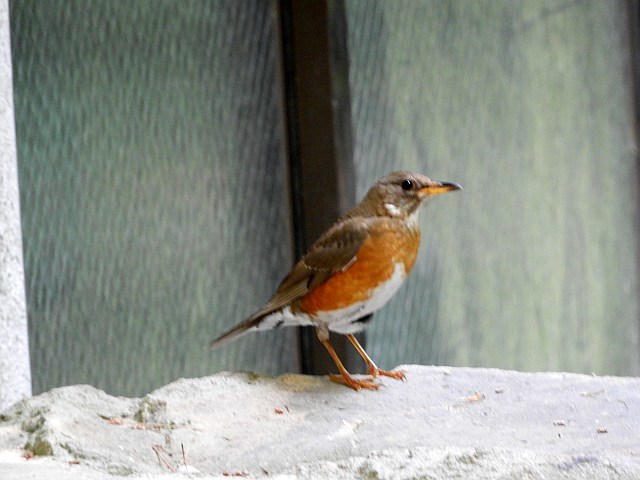 f0378979_20451820.jpg