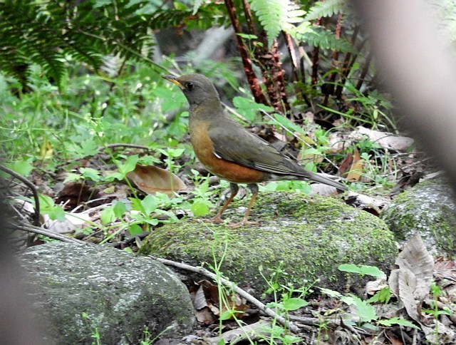 f0378979_20454639.jpg