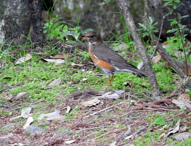 f0378979_20460165.jpg
