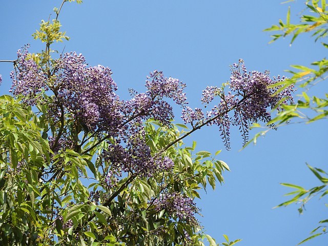 f0378979_20501741.jpg