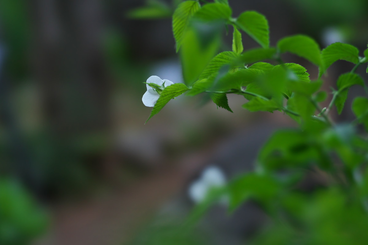 a0083081_20152295.jpg