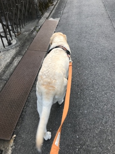 f0315081_16283985.jpeg