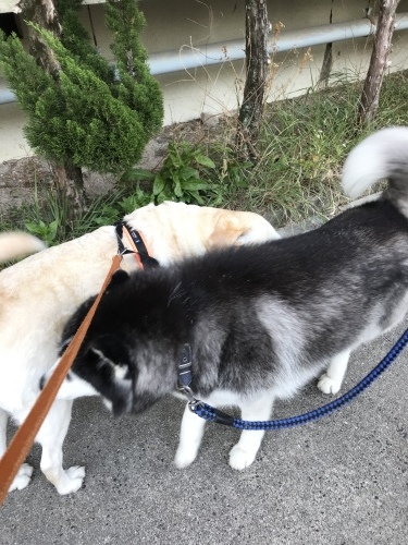 f0315081_16315168.jpeg