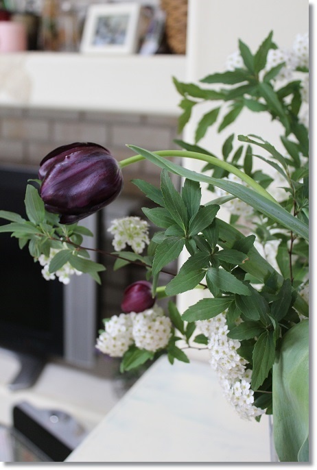 バーバスカム ビオレッタ すきな ことに かこまれて