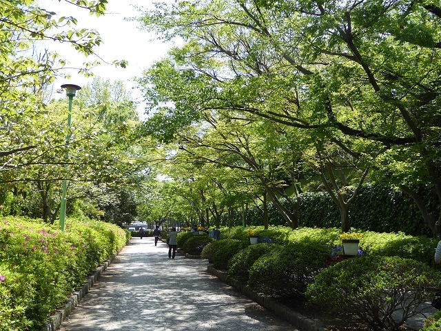 b0238886_12414866.jpg