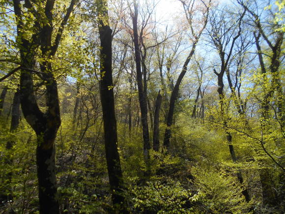 f0375290_07133066.jpg