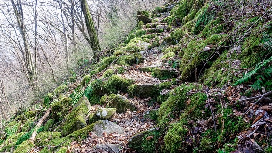 e0176993_07253535.jpg