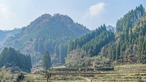 e0176993_07253578.jpg