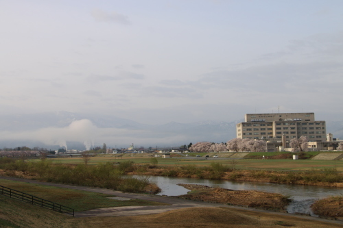 最上川・松川河畔の桜（1）４月 17日 早朝_c0075701_09395314.jpg