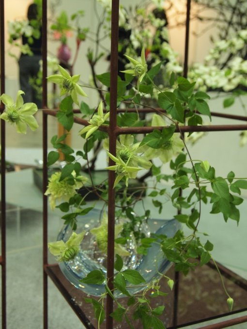 花の夢を見に行きました♪_b0331802_23351713.jpg