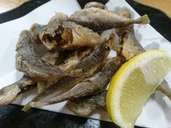 4/20 居酒屋サラリーマン新秋津店_b0042308_23450985.jpg
