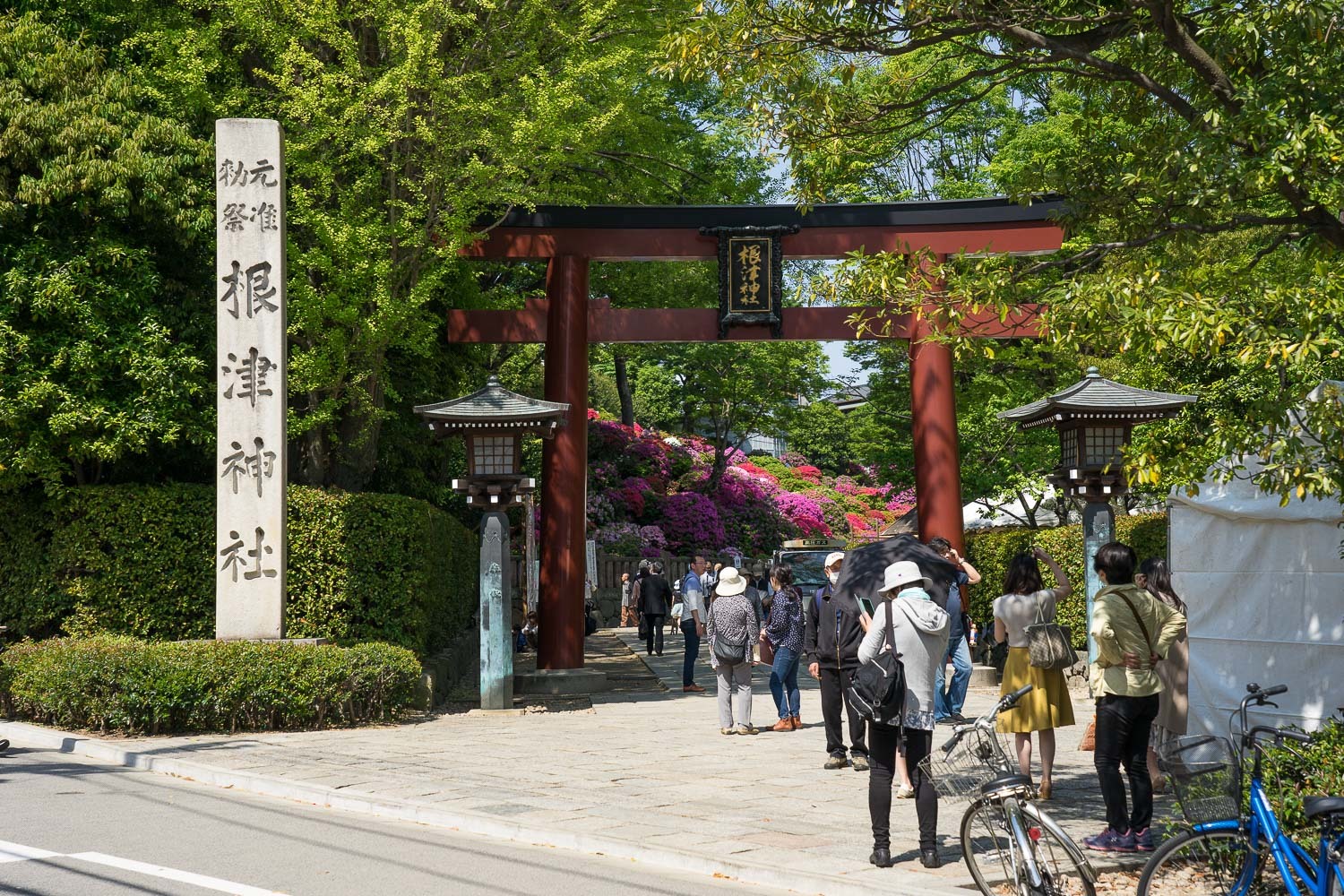 根津神社のつつじまつり２０１８_b0225108_23521843.jpg