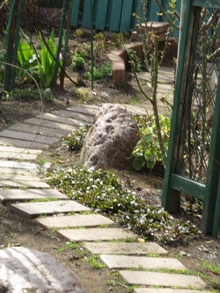f0325309_09165936.jpg
