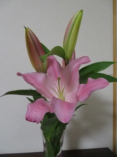 f0325309_09191047.jpg