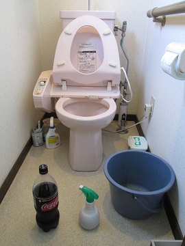 コカ コーラでトイレ掃除 元祖 バカ政 コカ コーラでトイレ掃除 元祖 バカ政