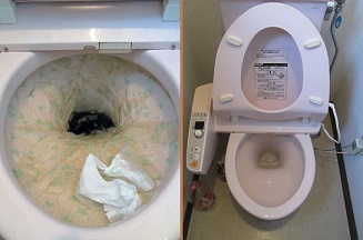 コカ コーラでトイレ掃除 元祖 バカ政 コカ コーラでトイレ掃除 元祖 バカ政