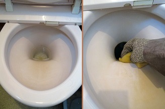 コカ コーラでトイレ掃除 元祖 バカ政 コカ コーラでトイレ掃除 元祖 バカ政