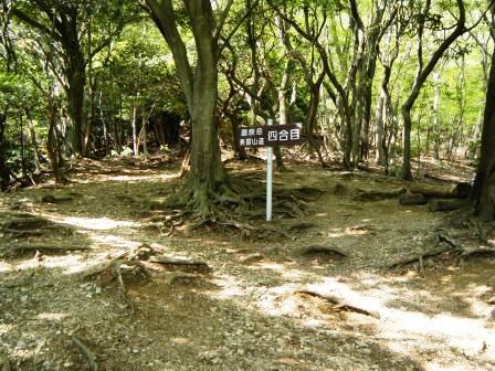 藤原岳　登山　鈴鹿　18.4.20 (金）_e0333313_21152733.jpg