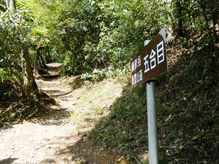 藤原岳　登山　鈴鹿　18.4.20 (金）_e0333313_21155623.jpg