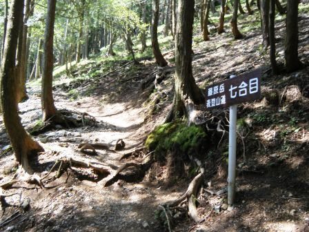 藤原岳　登山　鈴鹿　18.4.20 (金）_e0333313_21184776.jpg