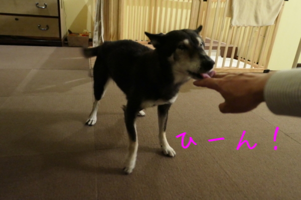 f0369014_10362924.jpg