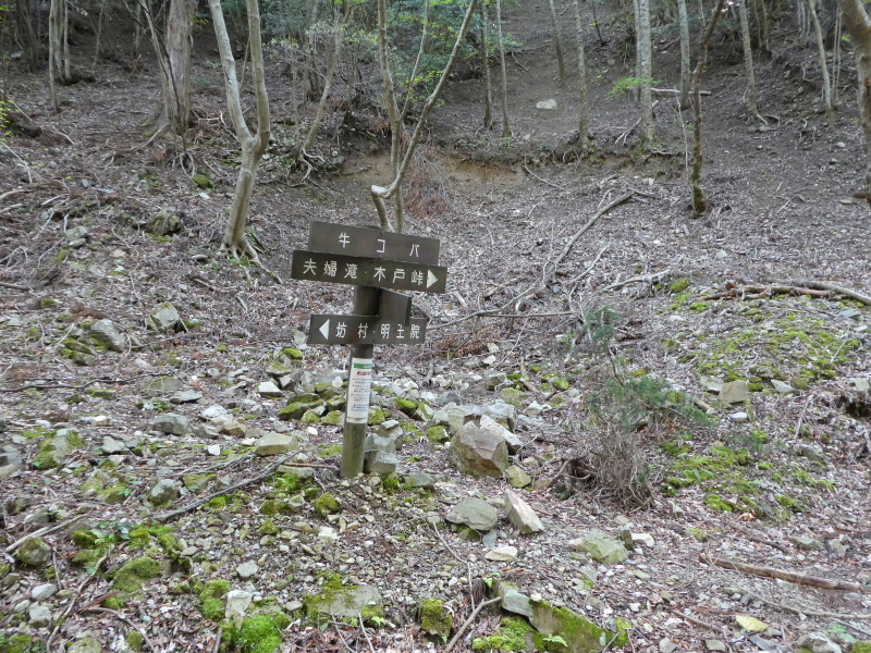 d0170615_16390152.jpg