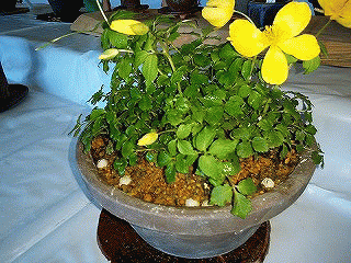 f0363122_17124645.gif