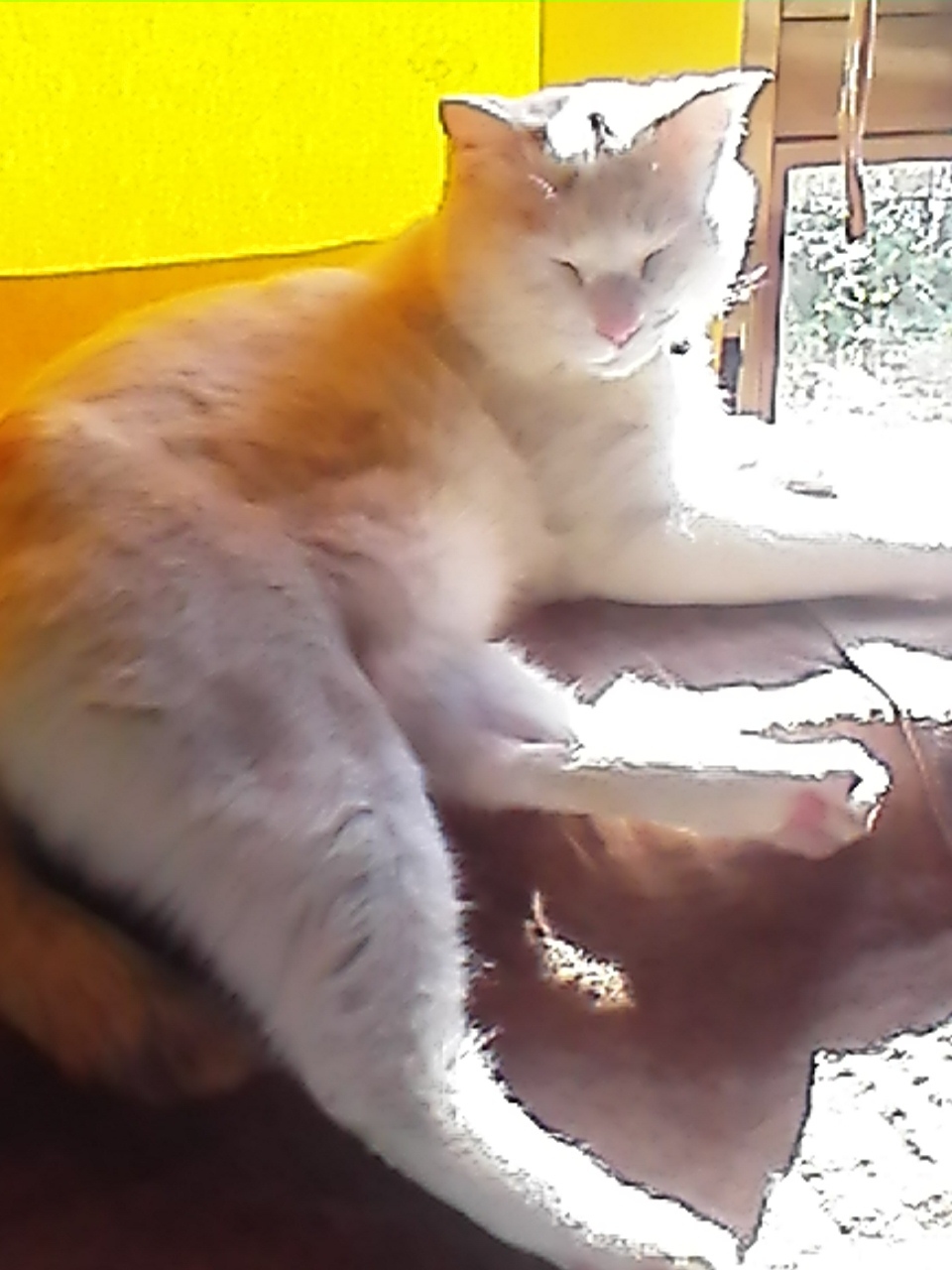 c0280730_12033642.jpg