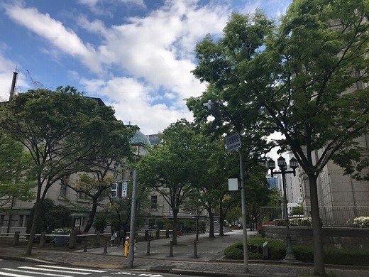f0028132_19433534.jpg