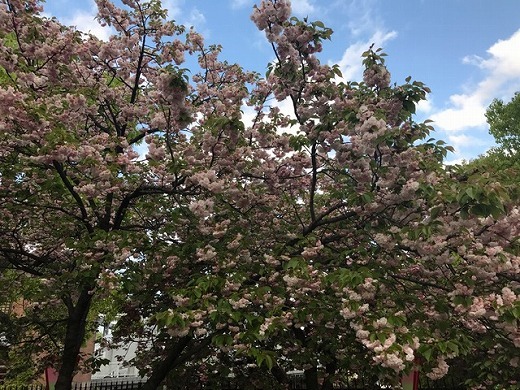 f0028132_20203313.jpg