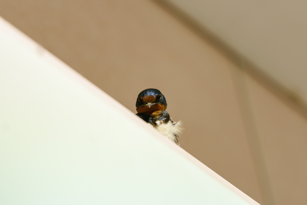 f0237034_23204482.jpg