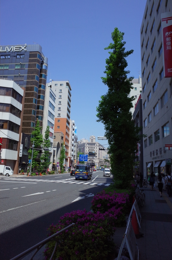 a0287336_2158159.jpg
