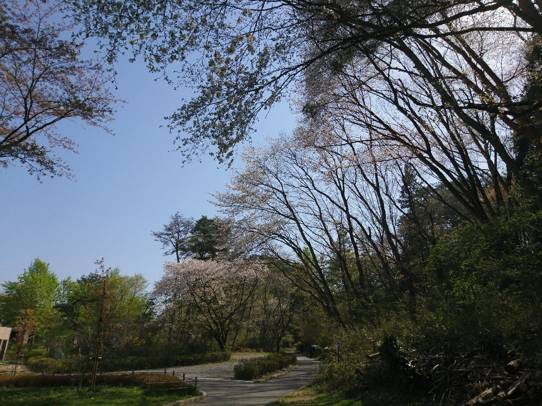 e0263536_23400710.jpg