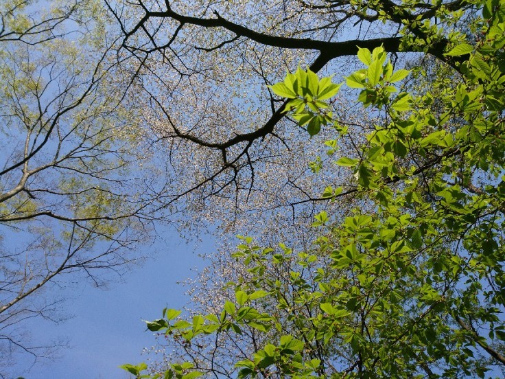 e0263536_23432988.jpg