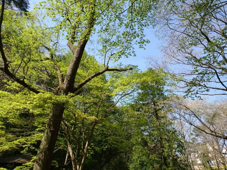 e0263536_23433011.jpg