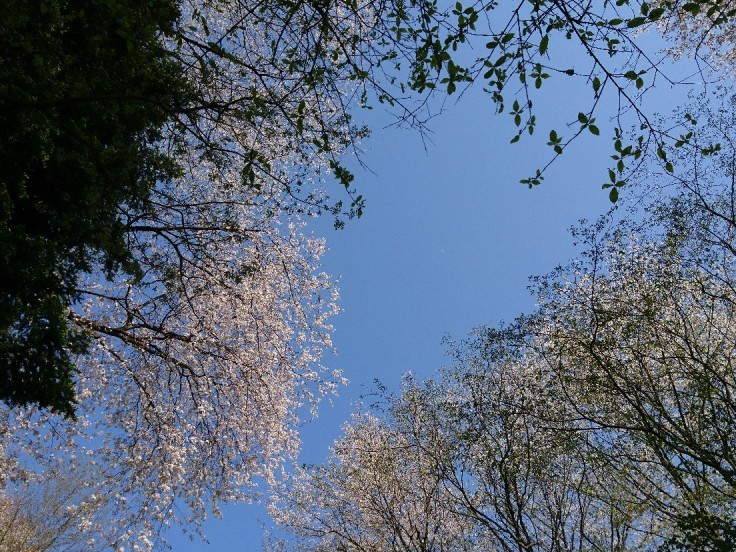 e0263536_23531051.jpg