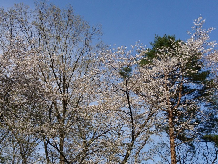 e0263536_23531182.jpg