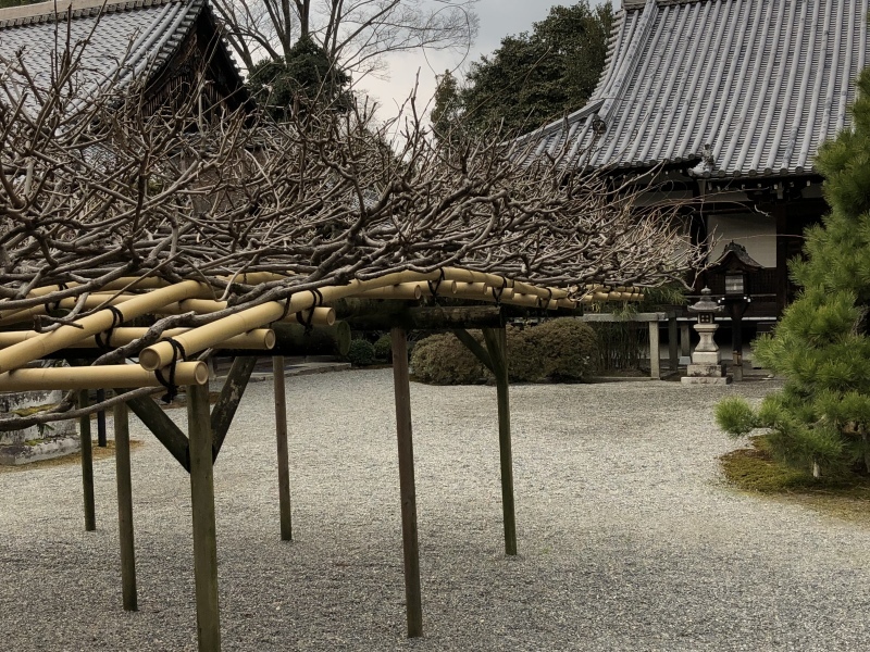 d0282139_15490703.jpeg