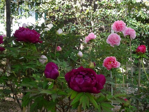 b0299042_14271265.jpg