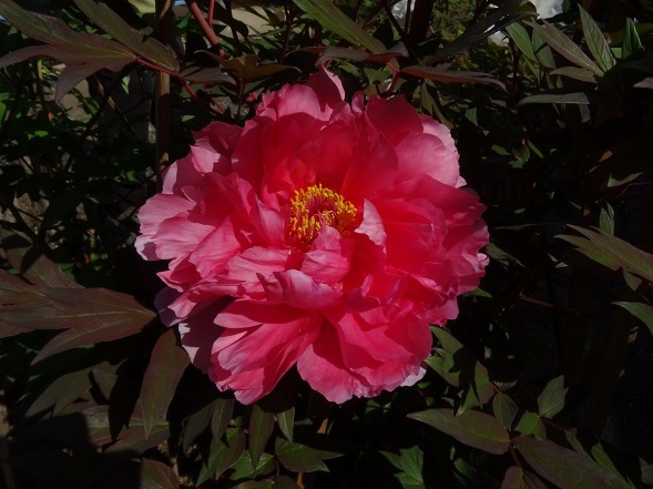 b0299042_14283363.jpg