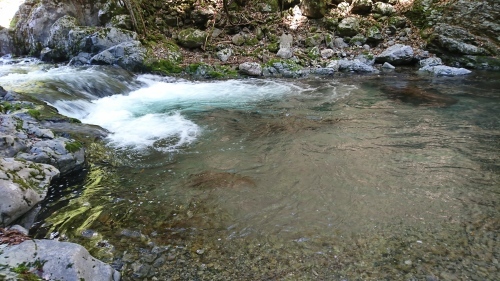 f0351348_20581117.jpg