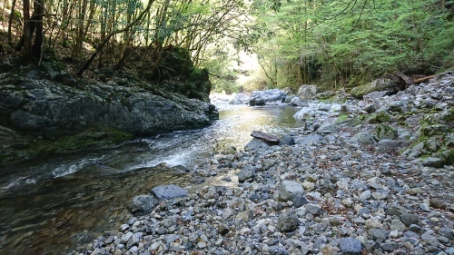 f0351348_20592103.jpg