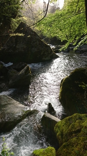 f0351348_21293817.jpg