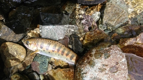 f0351348_21431002.jpg