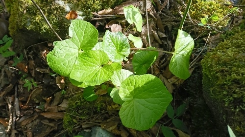 f0351348_22023944.jpg