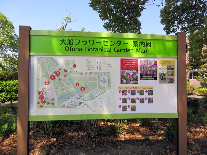 【大船フラワーセンター】春のお散歩_b0009849_15501170.jpg