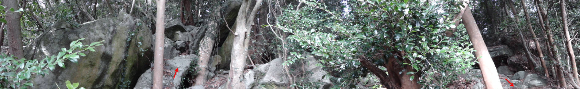 e0033751_1239154.jpg