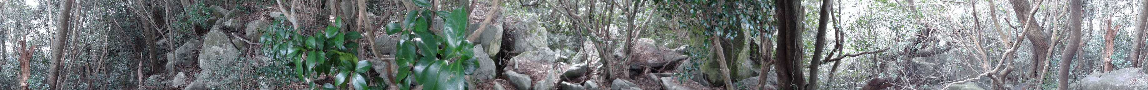 e0033751_1239319.jpg