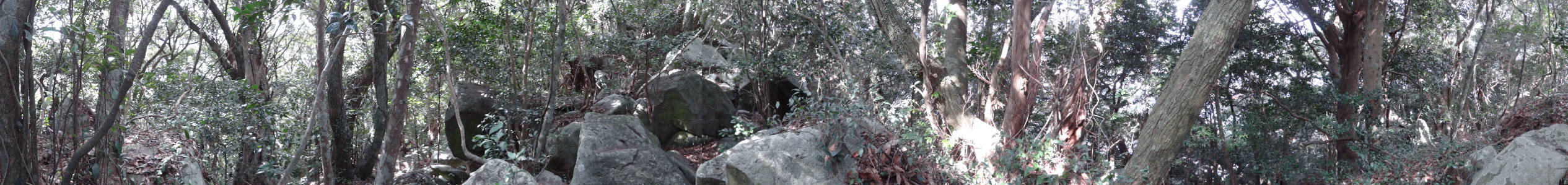e0033751_126103.jpg