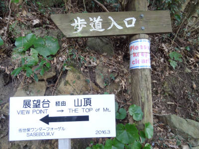 e0033751_126464.jpg